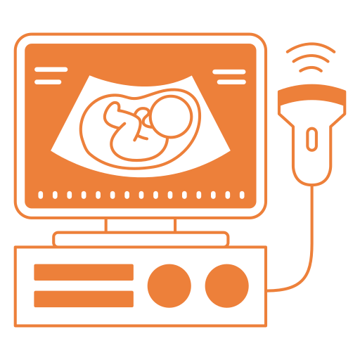 Ultrasound Scan